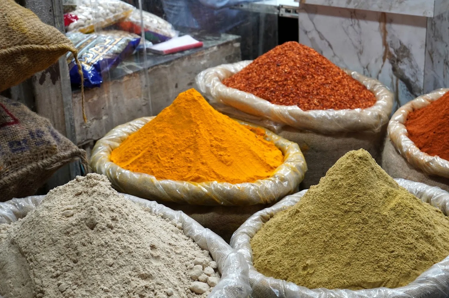 Introduction to India Tour